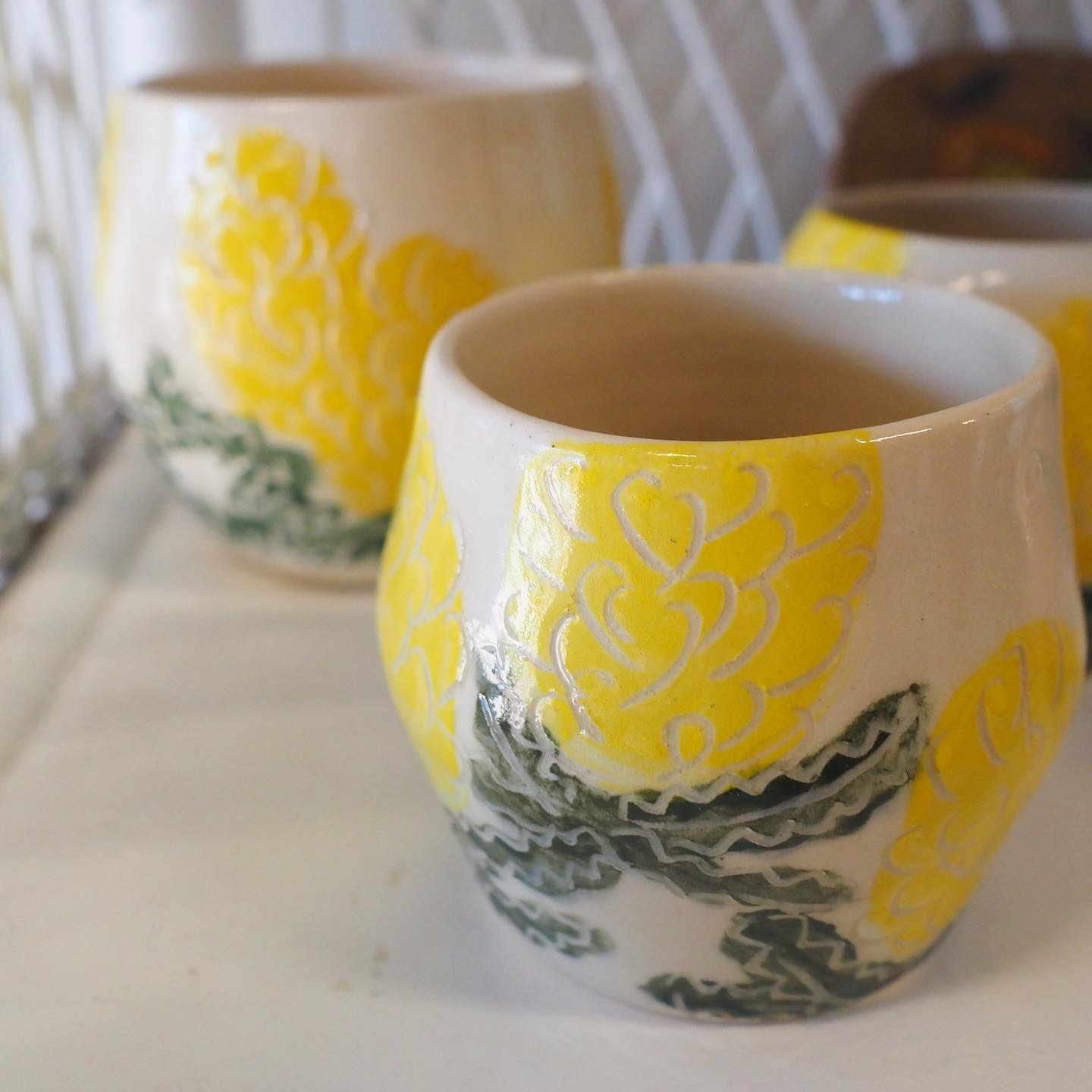 Wallum Banksia Sgraffito Mug